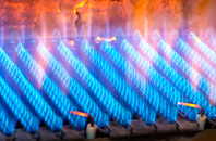 Trethosa gas fired boilers